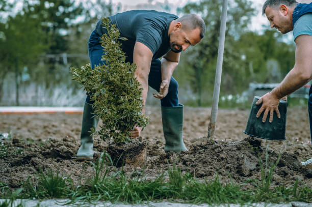 Best Tree and Shrub Care  in Watertown, FL